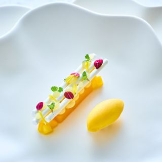 Potager - 1
