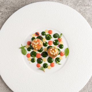 Il Piccolo Principe - 10