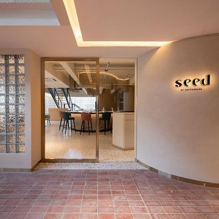 Seed - 6