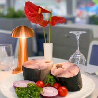 Calipso Fish - 8