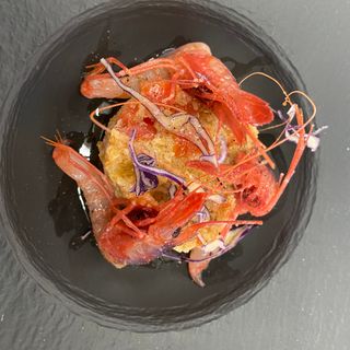 Ensama Pesce - 1