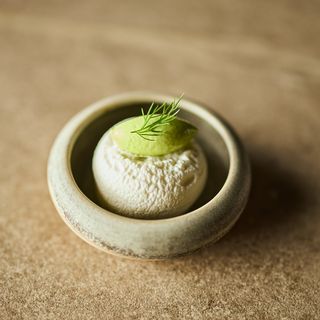 DILL - 5