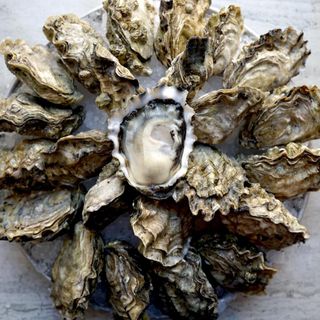 Fanny Bay Oyster Bar - 18