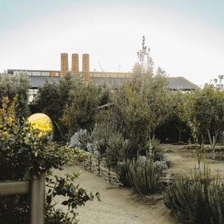 Bruma Wine Garden - 6