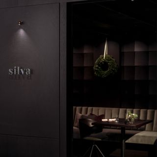 Silva - 1