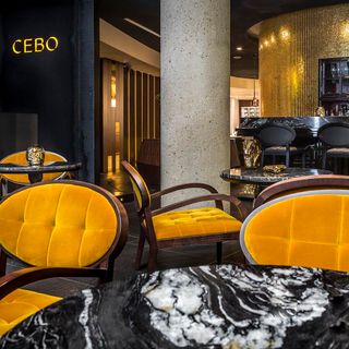 CEBO - 17