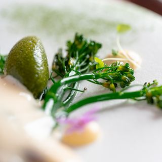 La Table de L'Oléa - La Teste-de-Buch - 1
