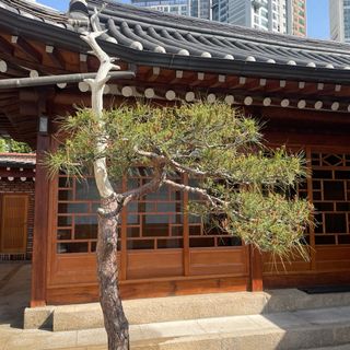 Sosuheon - 14