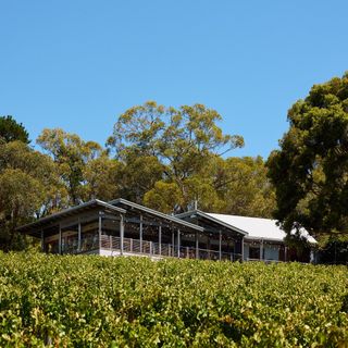 Mt Lofty Ranges Vineyard - 3