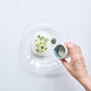 The Green Table - 5