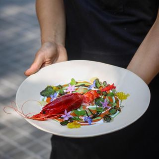 Fishølogy - 9