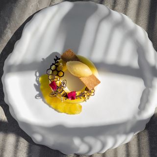 Blum - 8