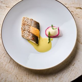 Saisons - 8