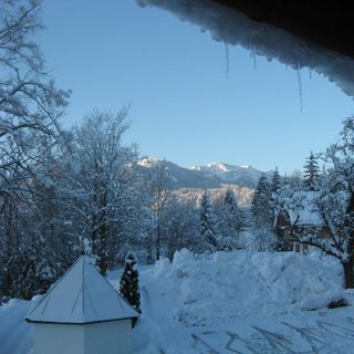 Schweizer Wirt - 5
