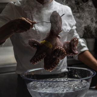 Materia Prima - 4