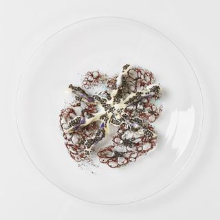 Geranium - 7