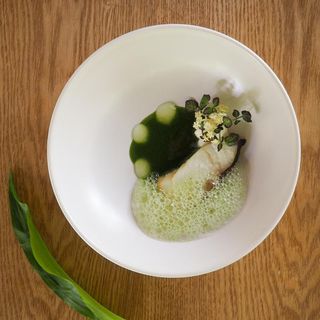 Fishølogy - 8