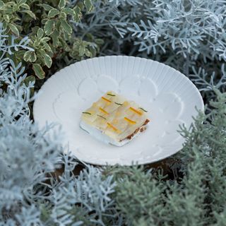 Osteria Arbustico - 10