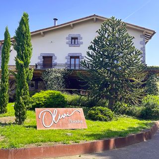 Olivi - 1