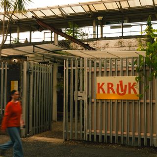 Kruk - 1