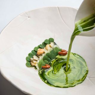 Aponiente - 0
