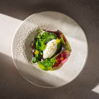 Angélica Cocina Maestra - 14