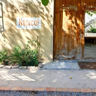 Napicol - 1