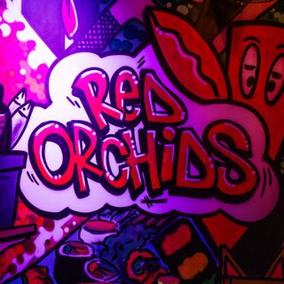 Red Orchids - 1