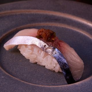 Mako - 6