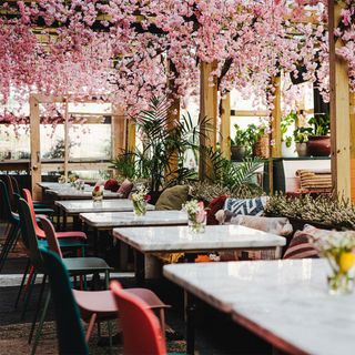 Residents Cafe & Bar - 10