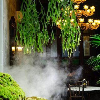 Bao Teck Tea House - 8