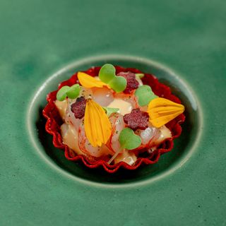 MŌDAN - 11