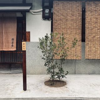 Sukita - 5