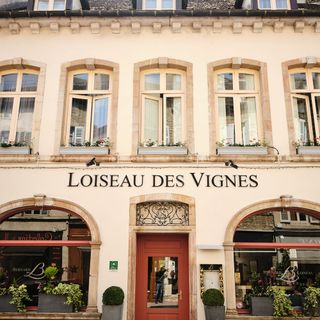 Loiseau des Vignes - Beaune - 1