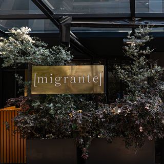 Migrante - 1