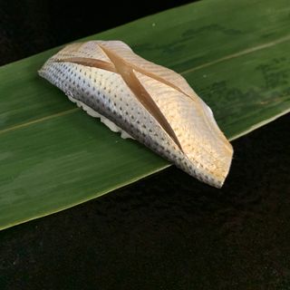Sushi Tadokoro - 3