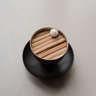 Sollip - 8