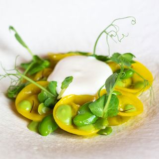 Mia Ristorante - 5