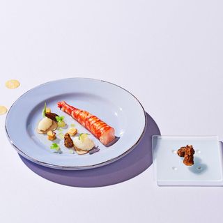 VIDA - 3