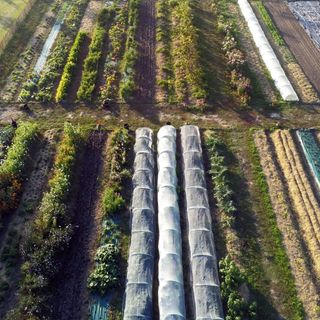 Les Jardiniers - Ligré - 1