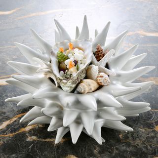 Schote - 10