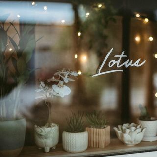 Lotus Noodle Bar - 13