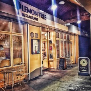 Lemon Tree - 5