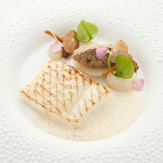 Cocotte - 14