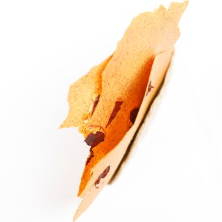 Datil - 1
