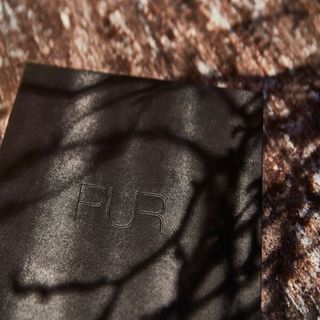 PUR - 1