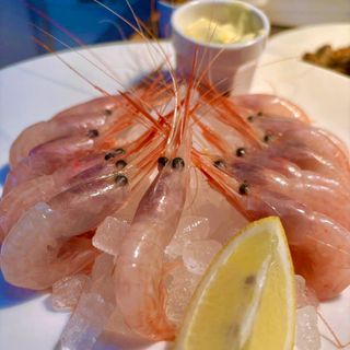 Osteria Scottadito - 2