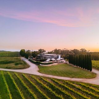 The Lane Vineyard - 9