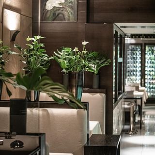 Costes Restaurant - 8