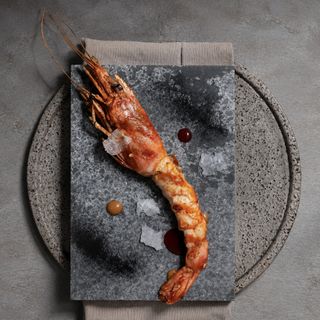 Crizia - 4